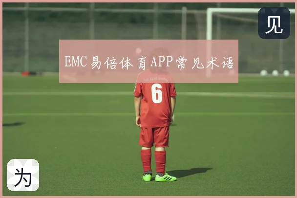 EMC易倍体育APP常见术语